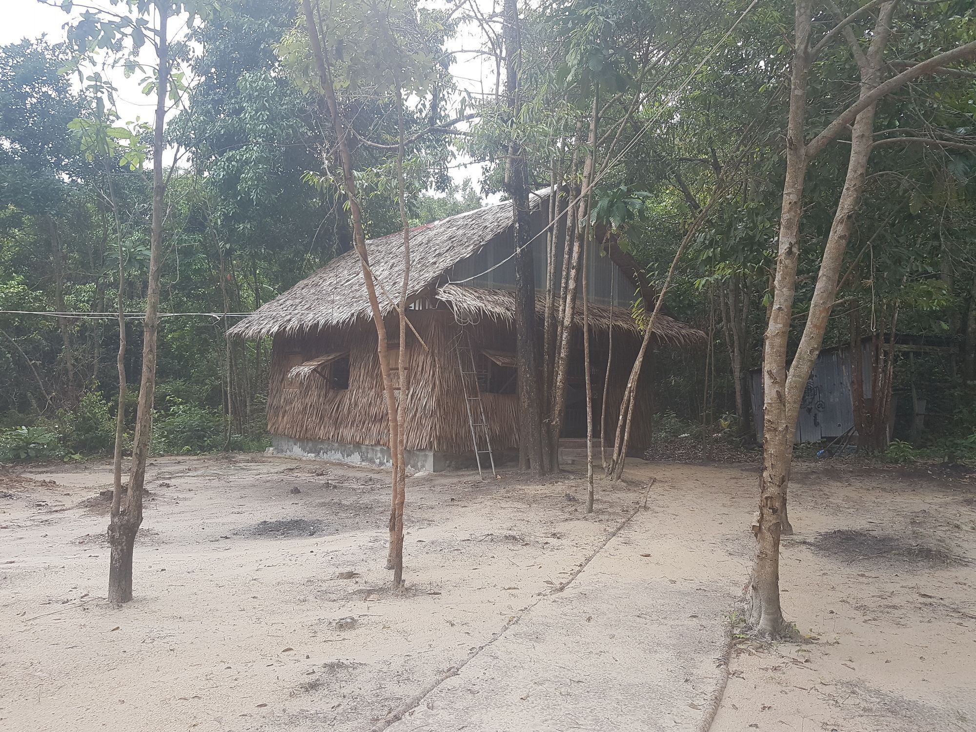 Driftwood Hostel And Bungalows Ко Ронг Санлоем Екстериор снимка