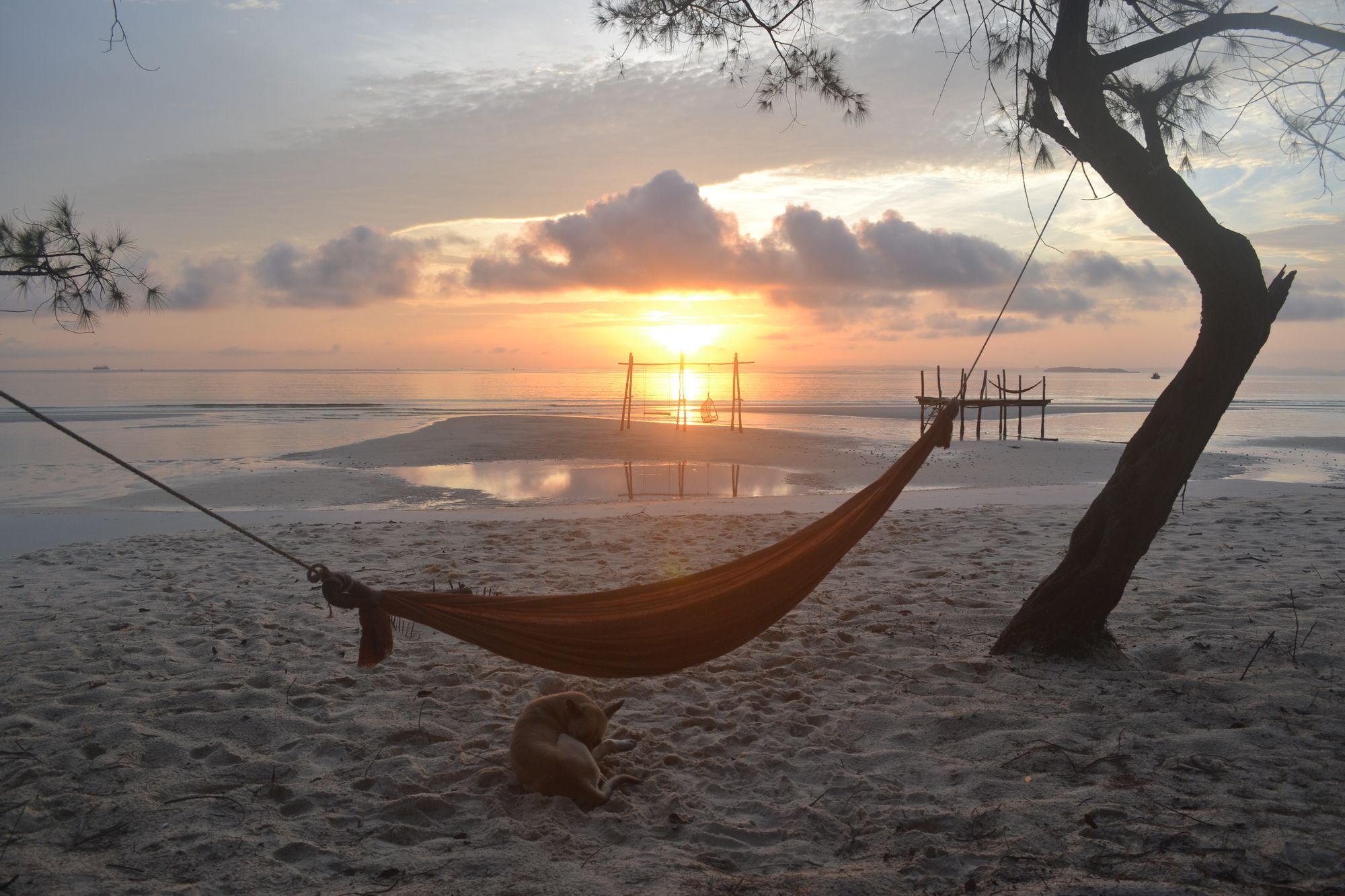 Driftwood Hostel And Bungalows Ко Ронг Санлоем Екстериор снимка